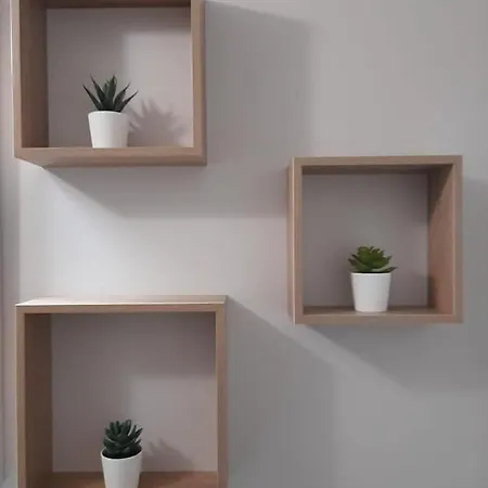 Dimora Palma Σπίτι διακοπών Αλμπερομπέλο