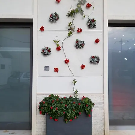 Dimora Palma Tatil Evi *